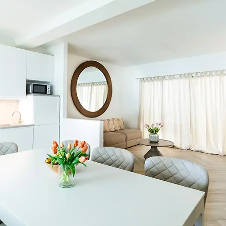 Apartamento Focus - New Palau