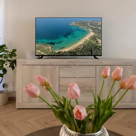 Focus - New Appartement Palau
