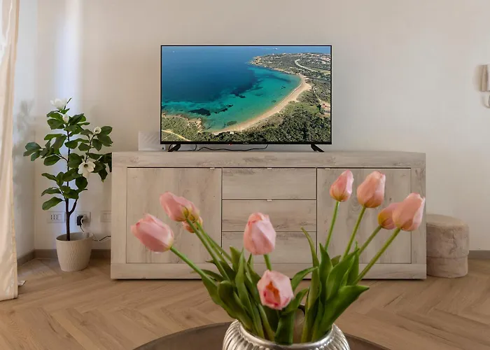 Focus - New Appartement Palau